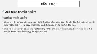 B NH D I
Ệ Ạ
Quá trình truy n nhi m
ề ễ
Đ ng truy n nhi m
ườ ề ễ
• B nh truy n t súc d i sang súc v t lành c ng b ng c n. Súc v t b t đ u bài xu t virus d i
ệ ề ừ ạ ậ ũ ằ ắ ậ ắ ầ ấ ạ
theo n c b t 4 - 12 ngày tr c khi xu t hi n các tri u ch ng đ u tiên.
ướ ọ ướ ấ ệ ệ ứ ầ
• Chó và mèo truy n b nh cho ng i b ng n c b t qua v t c n, cào. Súc v t còn có th
ề ệ ườ ằ ướ ọ ế ắ ậ ể
truy n b nh khi li m da ng i b xây x c.
ề ệ ế ườ ị ướ
 