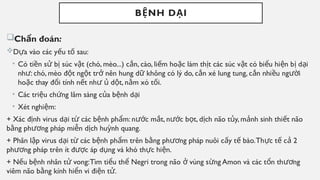 B NH D I
Ệ Ạ
Ch n đoán
ẩ :
D a vào các y u t sau:
ự ế ố
• Có ti n s b súc v t (chó, mèo...) c n, cào, li m ho c làm th t các súc v t có bi u hi n b d i
ề ử ị ậ ắ ế ặ ị ậ ể ệ ị ạ
nh : chó, mèo đ t ng t tr nên hung d không có lý do, c n xé lung tung, c n nhi u ng i
ư ộ ộ ở ữ ắ ắ ề ườ
ho c thay đ i tính n t nh d t, n m xó t i.
ặ ổ ế ư ủ ộ ằ ố
• Các tri u ch ng lâm sàng c a b nh d i
ệ ứ ủ ệ ạ
• Xét nghi m:
ệ
+ Xác đ nh virus d i t các b nh ph m: n c m t, n c b t, d ch não t y, m nh sinh thi t não
ị ạ ừ ệ ẩ ướ ắ ướ ọ ị ủ ả ế
b ng ph ng pháp mi n d ch hu nh quang.
ằ ươ ễ ị ỳ
+ Phân l p virus d i t các b nh ph m trên b ng ph ng pháp nuôi c y t bào.Th c t c 2
ậ ạ ừ ệ ẩ ằ ươ ấ ế ự ế ả
ph ng pháp trên ít đ c áp d ng và khó th c hi n.
ươ ượ ụ ự ệ
+ N u b nh nhân t vong:Tìm ti u th Negri trong não vùng s ng Amon và các t n th ng
ế ệ ử ể ể ở ừ ổ ươ
viêm não b ng kính hi n vi đi n t .
ằ ể ệ ử
 
