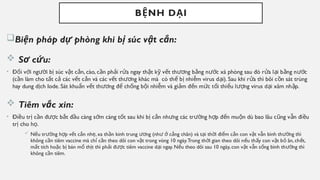 B NH D I
Ệ Ạ
Bi n pháp d phòng khi b súc v t c n:
ệ ự ị ậ ắ
 S c u:
ơ ứ
• Đ i v i ng i b súc v t c n, cào, c n ph i r a ngay th t k v t th ng b ng n c xà phòng sau đó r a l i b ng n c
ố ớ ườ ị ậ ắ ầ ả ử ậ ỹ ế ươ ằ ướ ử ạ ằ ướ
(c n làm cho t t c các v t c n và các v t th ng khác mà có th b nhi m virus d i). Sau khi r a thì bôi c n sát trùng
ầ ấ ả ế ắ ế ươ ể ị ễ ạ ử ồ
hay dung d ch Iode. Sát khu n v t th ng đ ch ng b i nhi m và gi m đ n m c t i thi u l ng virus d i xâm nh p.
ị ẩ ế ươ ể ố ộ ễ ả ế ứ ố ể ượ ạ ậ
 Tiêm v c xin:
ắ
• Đi u tr c n đ c b t đ u càng s m càng t t sau khi b c n nh ng các tr ng h p đ n mu n dù bao lâu c ng v n đi u
ề ị ầ ượ ắ ầ ớ ố ị ắ ư ườ ợ ế ộ ũ ẫ ề
tr cho h .
ị ọ
 N u tr ng h p v t c n nh , xa th n kinh trung ng (nh c ng chân) và t i th i đi m c n con v t v n bình th ng thì
ế ườ ợ ế ắ ẹ ầ ươ ư ở ẳ ạ ờ ể ắ ậ ẫ ườ
không c n tiêm vaccine mà ch c n theo dõi con v t trong vòng 10 ngày.Trong th i gian theo dõi n u th y con v t b ăn, ch t,
ầ ỉ ầ ậ ờ ế ấ ậ ỏ ế
m t tích ho c b bán m th t thì ph i đ c tiêm vaccine d i ngay. N u theo dõi sau 10 ngày, con v t v n s ng bình th ng thì
ấ ặ ị ổ ị ả ượ ạ ế ậ ẫ ố ườ
không c n tiêm.
ầ
 