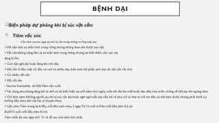 B NH D I
Ệ Ạ
Bi n pháp d phòng khi b súc v t c n:
ệ ự ị ậ ắ
 Tiêm v c xin:
ắ
• C n tiêm vaccine ngay sau khi b c n trong nh ng tr ng h p sau:
ầ ị ắ ữ ườ ợ
+V t c n nh , xa th n kinh trung ng nh ng không theo dõi đ c con v t.
ế ắ ẹ ầ ươ ư ượ ậ
+V t c n không n ng l m và xa th n kinh trung ng nh ng t i th i đi m c n con v t
ế ắ ặ ắ ầ ươ ư ạ ờ ể ắ ậ
đang b m.
ị ố
+ Con v t nghi d i ho c đang lên c n d i.
ậ ạ ặ ơ ạ
+V t c n đ u, m t c , đ u chi n i có nhi u dây th n kinh, b ph n sinh d c dù v t c n r t nh .
ế ắ ở ầ ặ ổ ầ ơ ề ầ ộ ậ ụ ế ắ ấ ẹ
+ Có nhi u v t c n
ề ế ắ
+V t c n sâu.
ế ắ
- Vaccine Fuenzalida: doVi t Nam s n xu t.
ệ ả ấ
+Tác d ng ph không đáng k : có th có vài bi u hi n t i ch tiêm nh ng a, m n đ , đôi khi m t ho c đau đ u nh , tri u ch ng s h t sau khi ng ng tiêm.
ụ ụ ể ể ể ệ ạ ỗ ư ứ ẩ ỏ ệ ặ ầ ẹ ệ ứ ẽ ế ừ
+ Ch đ nh tiêm: Nh ng ng i sau khi b súc v t d i ho c nghi ng m c d i c n, k c ph n có thai và tr em đ u có th tiêm đ c nh ng ph i d i s
ỉ ị ữ ườ ị ậ ạ ặ ờ ắ ạ ắ ể ả ụ ữ ẻ ề ể ượ ư ả ướ ự
h ng d n, theo dõi c a bác s chuyên khoa.
ướ ẫ ủ ĩ
+ Li u tiêm:Tiêm trong da 6 li u, m i li u cách nhau 2 ngày T 15 tu i tr lên: m i li u tiêm 0,2 ml.
ề ề ỗ ề ừ ổ ở ỗ ề
D i15 tu i: m i li u tiêm 0,1ml.
ướ ổ ỗ ề
Tiêm nh c l i vào ngày th 21 và 30 sau m i tiêm th nh t.
ắ ạ ứ ũ ứ ấ
 