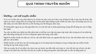 QUÁ TRÌNH TRUY N NHI M
Ề Ễ
Đ ng
ườ – c ch truy n nhi m
ơ ế ề ễ
• V trí c trú đ u tiên c a m m b nh là các t bào da, niêm m c (tr niêm m c đ ng hô h p và tiêu hóa đã đ c x p
ị ư ầ ủ ầ ệ ế ạ ừ ạ ườ ấ ượ ế
thành các nhóm riêng). M t s tr ng h p r t khó phân bi t đ ng truy n nhi m da, niêm m c v i đ ng máu, khi s
ộ ố ườ ợ ấ ệ ườ ề ễ ạ ớ ườ ự
đ t nh p c a m m b nh đòi h i s t n th ng c a h th ng da, niêm m c.
ộ ậ ủ ầ ệ ỏ ự ổ ươ ủ ệ ố ạ
• nh ng b nh ngoài da, tác nhân gây b nh khu trú trên b m t và đ c gi i phóng t ng đ i d dàng vào môi tr ng
Ở ữ ệ ệ ề ặ ượ ả ươ ố ễ ườ
bên ngoài.
• Tuy m t vài b nh (các b nh hoa li u, b nh d i) có th lây tr c ti p (nh giao h p ho c c n) nh ng đa s các b nh lây
ộ ệ ệ ễ ệ ạ ể ự ế ư ợ ặ ắ ư ố ệ
gián ti p b ng nh ng y u t môi tr ng bên ngoài (v t d ng, n c, đ t).
ế ằ ữ ế ố ườ ậ ụ ướ ấ
• Ng i b nhi m khu n khi ti p xúc v i súc v t m c b nh ho c các nguyên li u l y t súc v t m c b nh; chăm sóc ho c
ườ ị ễ ẩ ế ớ ậ ắ ệ ặ ệ ấ ừ ậ ắ ệ ặ
gi t súc v t b b nh.
ế ậ ị ệ
• Nhi m khu n có th đ a vào v t th ng ngay lúc b th ng ho c khi băng bó, trong tr ng h p này nhi m khu n
ễ ẩ ể ư ế ươ ị ươ ặ ườ ợ ễ ẩ
th ng do tay ho c d ng c b n.
ườ ặ ụ ụ ẩ
• Vi c lan truy n đa s các b nh c a nhóm này tu thu c vào đi u ki n sinh ho t và trình đ văn hoá, v sinh c a dân
ệ ề ố ệ ủ ỳ ộ ề ệ ạ ộ ệ ủ
chúng.Ví d : b nh đau m t h t ch y u lan truy n do dùng chung khăn m t, b nh gh và n m da b ng qu n áo.
ụ ệ ắ ộ ủ ế ề ặ ệ ẻ ấ ằ ầ
 