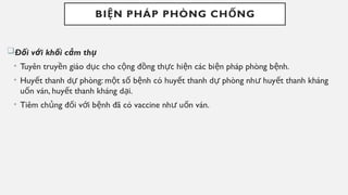 BI N PHÁP PHÒNG CH NG
Ệ Ố
Đ i v i kh i c m th
ố ớ ố ả ụ
• Tuyên truy n giáo d c cho c ng đ ng th c hi n các bi n pháp phòng b nh.
ề ụ ộ ồ ự ệ ệ ệ
• Huy t thanh d phòng: m t s b nh có huy t thanh d phòng nh huy t thanh kháng
ế ự ộ ố ệ ế ự ư ế
u n ván, huy t thanh kháng d i.
ố ế ạ
• Tiêm ch ng đ i v i b nh đã có vaccine nh u n ván.
ủ ố ớ ệ ư ố
 