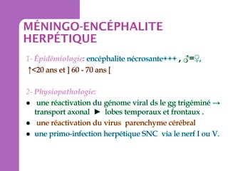 MÉNINGO-ENCÉPHALITE
HERPÉTIQUE

 