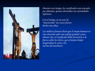 Durante este tiempo, los crucificados eran atacados por alimañas, quienes devoraban sus extremidades inferiores. Con el tiempo, en un acto de “ misericordia” las cruces fueron hechas mas altas.  Los médicos forenses dicen que el cuerpo humano en esta situación sufre una asfixia gradual y para obtener aire, el crucificado debía levantarse a la fuerza sobre los clavos, que al mismo tiempo desgarraban la carne y los  nervios del antebrazo. 