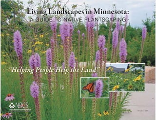 Living Landscapes in Minnesota:
                                    A GUIDE TO NATIVE PL ANTSCAPING




“Helping People Help the Land”




Natural Resources Conservation Service
United States Department of Agriculture                               October 2007
 
