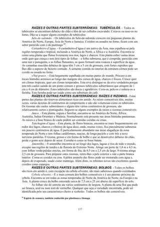 117
RAÍZES E OUTRAS PARTES SUBTERRÂNEAS: TUBÉRCULOS. – Todos os
tubérculos se encontram debaixo do chão e têm de ser colhidos escavando. Coza-os ou asse-os no
forno. Dão-se a seguir alguns exemplos de tubérculos:
Selo-de-salomão. - Os tubérculos do Selo-de-salomão crescem em pequenas plantas da
América do Norte, Europa, Ásia do Norte e Jamaica. Cozidos ou assados no forno, ficam com um
sabor parecido com o da pastinaga 14
.
Castanheiro-d’água. - 0 castanheiro-d’água é um nativo da Ásia, mas espalhou-se pela
regiões temperada e tropical, incluindo a América do Norte, a África e a Austrália. Encontra-se
como uma planta que flutua livremente nos rios, lagos e charcos. Esta planta cobre vastas áreas
onde quer que cresça e tem dois tipos de folhas – a folha submersa, que é comprida, parecida com
uma raiz e penugenta, e as folhas flutuantes, as quais formam uma rosácea à superfície da água.
As castanhas nascidas debaixo de água têm 3 cm a 5 cm de grossura, com fortes espinhos que
lhes dão o aspecto de bezerro cornudo. A semente contida no interior da estrutura córnea pode ser
cozida ou assada no forno.
«Nut grass». - Está largamente espalhada em muitas partes do mundo. Procure-a em
locais húmidos arenosos ao longo das margens dos cursos de água, charcos e fossos. Cresce quer
em climas tropicais, quer em climas temperados. Esta erva distingue-se da erva verdadeira porque
tem três caules saindo de um ponto comum e grossos tubérculos subterrâneos que atingem de 1
cm a 4 cm de diâmetro. Estes tubérculos são doces e agradáveis. Coza-os, pele-os e reduza-os a
farinha. Esta farinha pode ser usada como um substituto do café.
RAÍZES E OUTRAS PARTES SUBTERRÃNEAS: RAÍZES E RIZOMAS.- Estas
partes das plantas são reservas alimentares ricas em amido. As raízes comestíveis têm, muitas
vezes, varias dezenas de centímetros de comprimento e não são volumosas como os tubérculos.
Os rizomas são caules subterrâneos e alguns têm vários centímetros de grossura, são
relativamente curtos e pontiagudos. Seguem-se alguns exemplos de raízes e rizomas comestíveis:
Junco. - Esta planta, esguia e familiar, encontra-se na América do Norte, África,
Austrália, Índias Orientais e Malásia. Normalmente está presente nas áreas húmidas pantanosas.
As raízes e a base branca do caule podem ser comidas cozidas ou cruas.
Tanchagem-d’água. - Esta planta, de flores brancas, encontra-se mais frequentemente em
redor dos lagos, charcos e ribeiros de água doce, onde, muitas vezes, fica parcialmente submersa
em poucos centímetros de água. É particularmente abundante nas áreas alagadiças da zona
temperada do Norte e tem folhas cardiformes, macias, de longo pecíolo e com três a nove
nervuras paralelas. 0 rizoma, grosso e em forma de bolbo e que se desenvolve debaixo do chão,
perde o gosto acre depois de secar. Cozinhe-o como se fosse batata.
Amentilho. - 0 amentilho encontra-se ao longo dos lagos, lagoas e rios de todo o mundo,
excepto nas regiões de tundra e de floresta do Extremo Norte. Atinge um porte de 1,8 m a 4,5 m,
com folhas verde-pálidas erectas, em forma de fita, de 0,5 cm a 2,5 cm de largo. 0 rizoma atinge
2,5 cm de grossura. Para preparar estes rizomas, retire-lhes a pele exterior e rale a parte branca
interior. Coma-os cozidos ou crus. 0 pólen amarelo das flores pode ser misturado com água e,
depois de evaporado, usado como manteiga. Além disto, os rebentos novos são excelentes quando
cozidos como espargos.
RAÍZES E OUTRAS PARTES SUBTERRÃNEAS: BOLBOS. - Todos os bolbos
são ricos em amido e, com excepção da cebola silvestre, são mais saborosos quando cozinhados.
Cebola silvestre. - É o mais comum dos bolbos comestíveis e é um parente próximo da
cebola. Encontra-se em todas as zonas temperadas do Norte da América do Norte, na Europa e na
Ásia. A planta cresce do bolbo enterrado cerca de 7,5 cm a 25 cm abaixo da superfície do solo.
As folhas vão do estreito ate vários centímetros de largura. A planta dá uma flor que pode
ser branca, azul ou num tom de vermelho. Qualquer que seja a variedade encontrada, pode ser
identificada pelo seu característico cheiro a «cebola». Todos os bolbos são comestíveis.
l4
Espécie de cenoura, também conhecida por plastinaca e bisnaga.
 