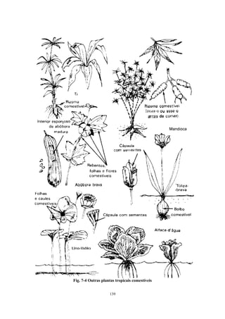 139
Fig. 7-4 Outras plantas tropicais comestíveis
 