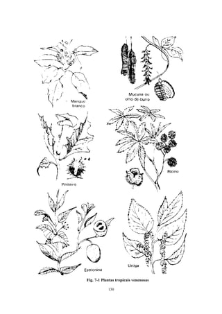 130
Fig. 7-1 Plantas tropicais venenosas
 