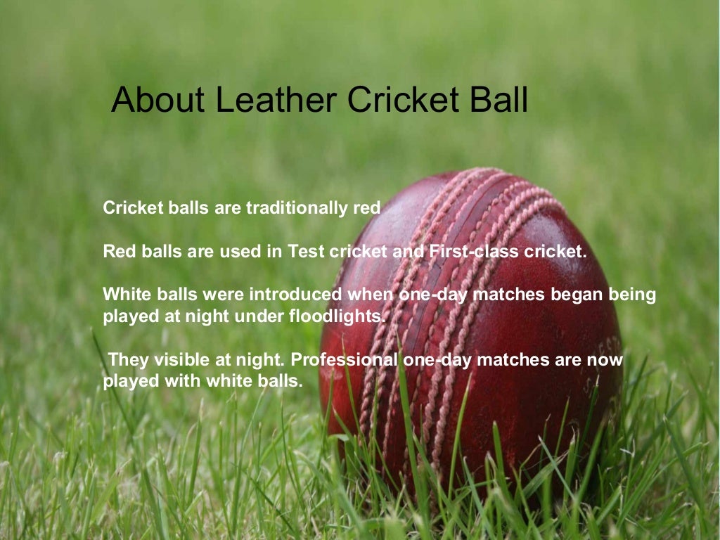 Cricket Leather Ball
