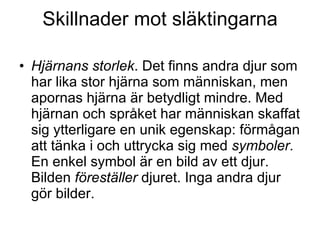 Skillnader mot släktingarna Hjärnans storlek . Det finns andra djur som har lika stor hjärna som människan, men apornas hjärna är betydligt mindre. Med hjärnan och språket har människan skaffat sig ytterligare en unik egenskap: förmågan att tänka i och uttrycka sig med  symboler . En enkel symbol är en bild av ett djur. Bilden  föreställer  djuret. Inga andra djur gör bilder. 