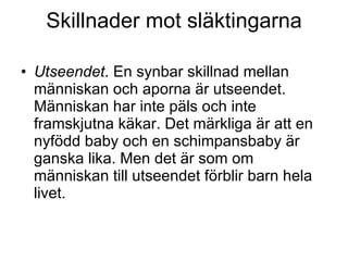 Skillnader mot släktingarna Utseendet . En synbar skillnad mellan människan och aporna är utseendet. Människan har inte päls och inte framskjutna käkar. Det märkliga är att en nyfödd baby och en schimpansbaby är ganska lika. Men det är som om människan till utseendet förblir barn hela livet. 