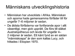 Människans utvecklingshistoria Människan har utvecklats i Afrika. Människan och aporna hade gemensamma förfäder till för ungefär 7–6 miljoner år sedan. De äldsta förfäderna var fortfarande apor i allt väsentligt, men gick upprätt. De förs till släket  Australopithecus  och levde för ungefär 4–2 miljoner år sedan. Ett känt fynd av en sådan "människoapa" är den som kallas Lucy, och hittades i Etiopien 1970. 