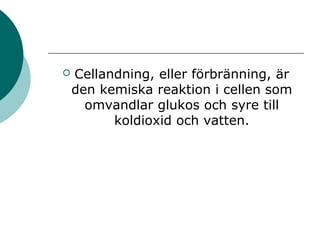  Cellandning, eller förbränning, är 
den kemiska reaktion i cellen som 
omvandlar glukos och syre till 
koldioxid och vatten. 
 