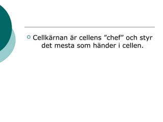  Cellkärnan är cellens ”chef” och styr 
det mesta som händer i cellen. 
 