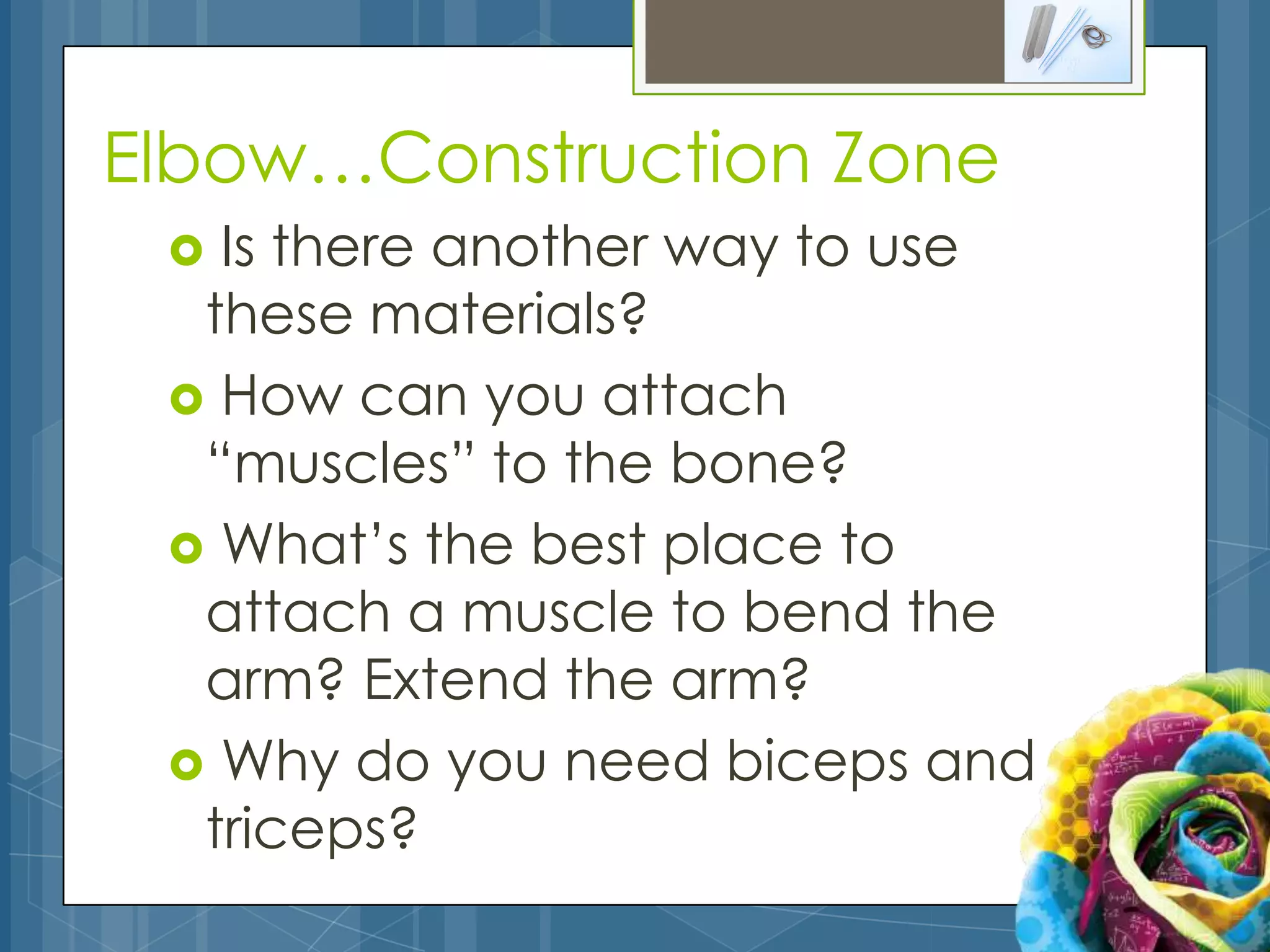 Elbow…Construction Zone
  Is there another way to use
  these materials?
  How can you attach
  “muscles” to the bone?
  What’s the best place to
  attach a muscle to bend the
  arm? Extend the arm?
  Why do you need biceps and
  triceps?
 