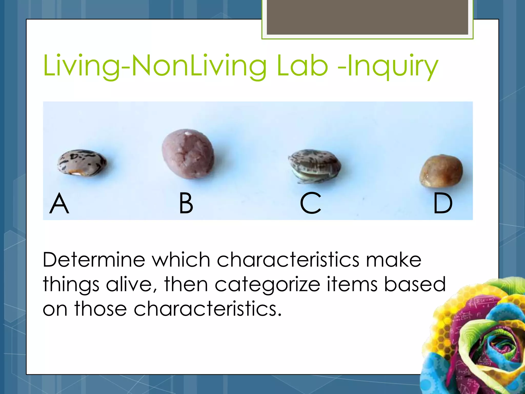 Living-NonLiving Lab -Inquiry



A            B            C            D
Determine which characteristics make
things alive, then categorize items based
on those characteristics.
 