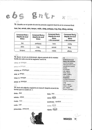 Món ortogràfic 5 solucions