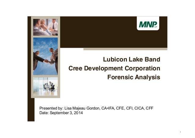 Forensic Audit Into The Cree Development Corporation And forensic audit into the cree development corporation and