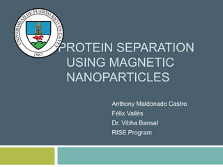 PROTEIN SEPARATION
USING MAGNETIC
NANOPARTICLES
Anthony Maldonado Castro
Félix Vallés
Dr. Vibha Bansal
RISE Program
 