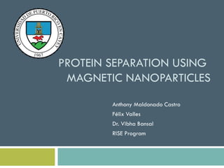 PROTEIN SEPARATION USING
MAGNETIC NANOPARTICLES
Anthony Maldonado Castro
Félix Valles
Dr. Vibha Bansal
RISE Program
 