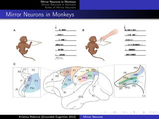 Mirror Neurons in Monkeys
Mirror Neurons in Humans
Roles of Mirror Neurons
Mirror Neurons in Monkeys
Kristína Rebrová [Grounded Cognition 2012] Mirror Neurons
 