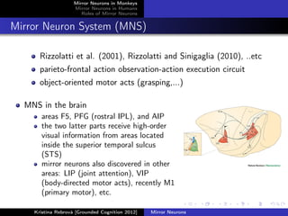 Mirror Neurons in Monkeys
Mirror Neurons in Humans
Roles of Mirror Neurons
Mirror Neuron System (MNS)
Rizzolatti et al. (2001), Rizzolatti and Sinigaglia (2010), ..etc
parieto-frontal action observation-action execution circuit
object-oriented motor acts (grasping,...)
MNS in the brain
areas F5, PFG (rostral IPL), and AIP
the two latter parts receive high-order
visual information from areas located
inside the superior temporal sulcus
(STS)
mirror neurons also discovered in other
areas: LIP (joint attention), VIP
(body-directed motor acts), recently M1
(primary motor), etc.
Kristína Rebrová [Grounded Cognition 2012] Mirror Neurons
 
