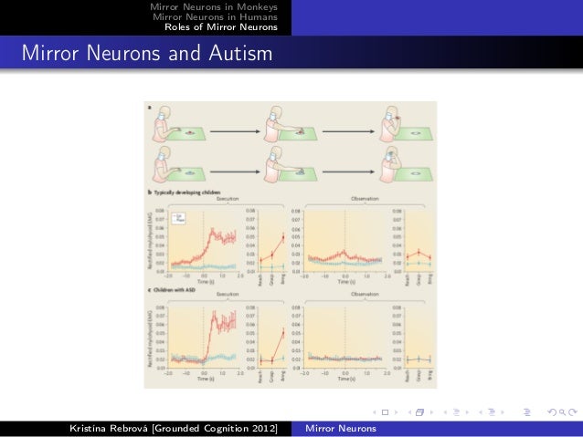 role of mirror neuron system mns in autism Functions & development of the mirror neuron system learn more mirroring development disorders such as autism, which involves disruptions in the mns . role of mirror neuron system mns in autism Functions & development of the mirror neuron system learn more mirroring development disorders such as autism, which involves disruptions in the mns .