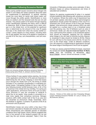 Heavy spring rainfall causes concerns about nitrogen (N)
losses in corn fields and raises questions about the need
for supplemental N applications. In general, leaching
losses are more likely on sandy soils where water can
move through the profile quickly. Denitrification is more
likely on medium and fine textured soils that are not well
drained. The precise extent of N losses through leaching
and/or denitrification following the heavy rains is difficult
to determine. Both of these processes occur when nitro-
gen is in the nitrate form, so the potential for significant
loss is determined by the amount of the crop N supply
that was in the nitrate form when the excess rainfall oc-
curred. Losses depend on many factors, including when
the N was applied, the forms of N applied or expected to
provide N for the crop, soil characteristics, and soil mois-
ture.
Where fertilizer N was applied before planting, the timing
of the application and the form of N used are important in
determining the risk of loss. Keeping in mind that losses
occur through the nitrate form of N, the timing of nitrate
formation is an important consideration in evaluating po-
tential losses. Fall-applied fertilizer N has a high risk for
loss following excess rainfall because most, or all, of the
N would be in the nitrate form by mid-May. For spring pre
-plant applications, ammonium forms of N such as anhy-
drous ammonia or urea are converted to nitrate-N in
about four to six weeks. Urea usually is converted to ni-
trate more rapidly than anhydrous ammonia. Nitrogen
solutions (28% UAN) contain half of the N as urea and
the remainder as ammonium nitrate. Essentially, when
this fertilizer is applied, it contains 75 percent of the N as
ammonium and 25 percent.
Denitrification losses can occur within a few days if the
soil remains saturated or flooded and nitrate-N is present.
Warm temperatures and extended periods of saturated
conditions favor high losses. Work in Illinois suggests that
four to five percent of the nitrate-N present can be lost
each day the soil remains saturated. Table 2 from the
University of Nebraska provides some estimates of deni-
trification losses at various temperatures and times of
saturated soil conditions.
Options for applying supplemental N when it is needed
include traditional side-dressing with anhydrous ammonia
or N solutions. Where the entire crop N requirement has
not yet been applied, side-dress or other post-emergence
applications should contain the balance of the crop N re-
quirement plus 25-50 percent of the N that was already
applied. Urea-ammonium nitrate solutions (28%) can also
be applied as a surface band or as a broadcast spray
over the growing crop. Dry N fertilizers such as urea or
ammonium nitrate can also be broadcast applied to the
crop. Leaf burning from solution or dry broadcast applica-
tions should be expected. Applying the dry materials
when foliage is dry will help to minimize burning. Basical-
ly, broadcast N rates should be limited to 90 lbs. N/acre
for corn with four to five leaves and to 60 lbs. N/ acre for
corn at the 8-leaf stage. Under N deficient conditions,
corn will respond to supplemental N applications through
the tassel stage of development if the N can be applied.
To help you assess potential fertilizer N losses, download
the simple and reliable Supplemental Fertilizer N Work-
sheet from the University of Minnesota. http://
bit.ly/17iNb9A. (Source: Schmitt and Randall, U of MN)
(Source: Portions of this article are from ‘Evaluating Nitrogen
Losses Following Excessive Rainfall,’ Dr. Larry G. Bundy, U of
WI Extension Service.)
N Losses Following Excessive Rainfall
Table 2. Estimated Denitrification N Losses as
Influenced by Soil Temp and Days Saturated.
Soil Temp
(°F)
Days
Saturated
N Loss
(% of applied)
55-60
5 10
10 25
3 60
75-80
5 75
7 85
9 95
Source: Shapiro, University of Nebraska.
Early corn showing nitrogen deficiency symptoms following
heavy spring rains. Photo: S. Johnson, DuPont Pioneer.
 
