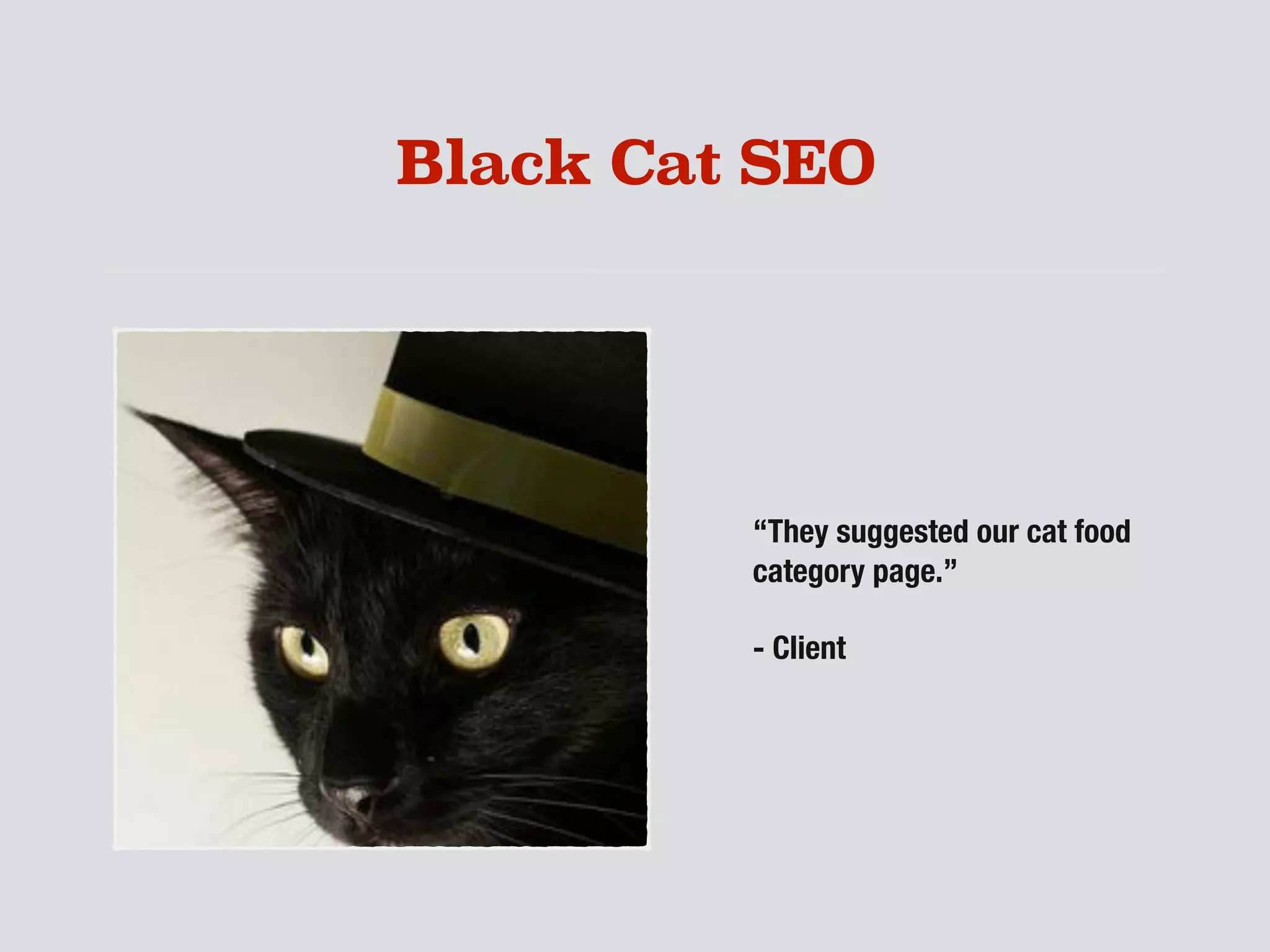 Black Cat SEO
“They suggested our cat food
category page.”
- Client
 