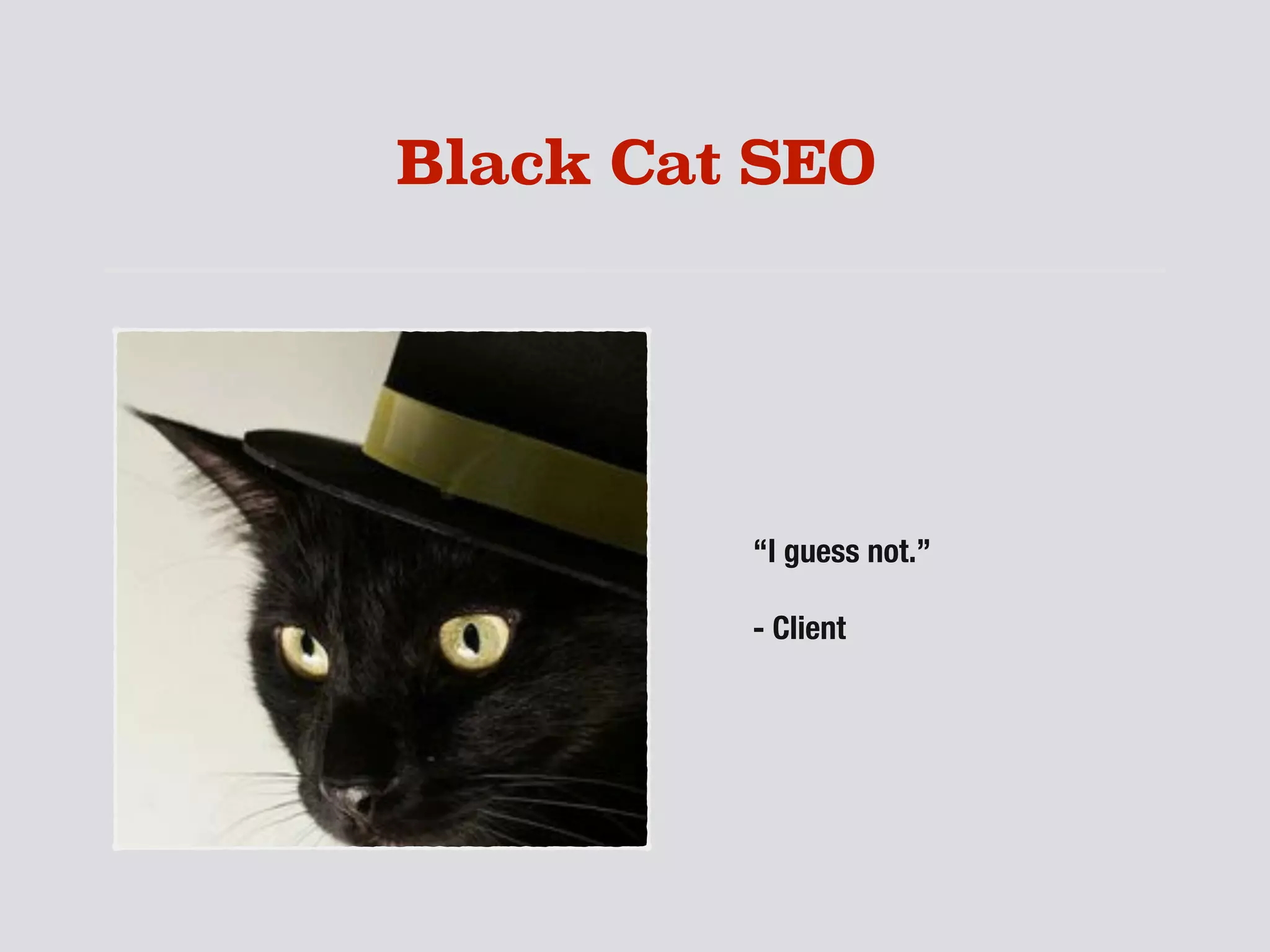 Black Cat SEO
“I guess not.”
- Client
 
