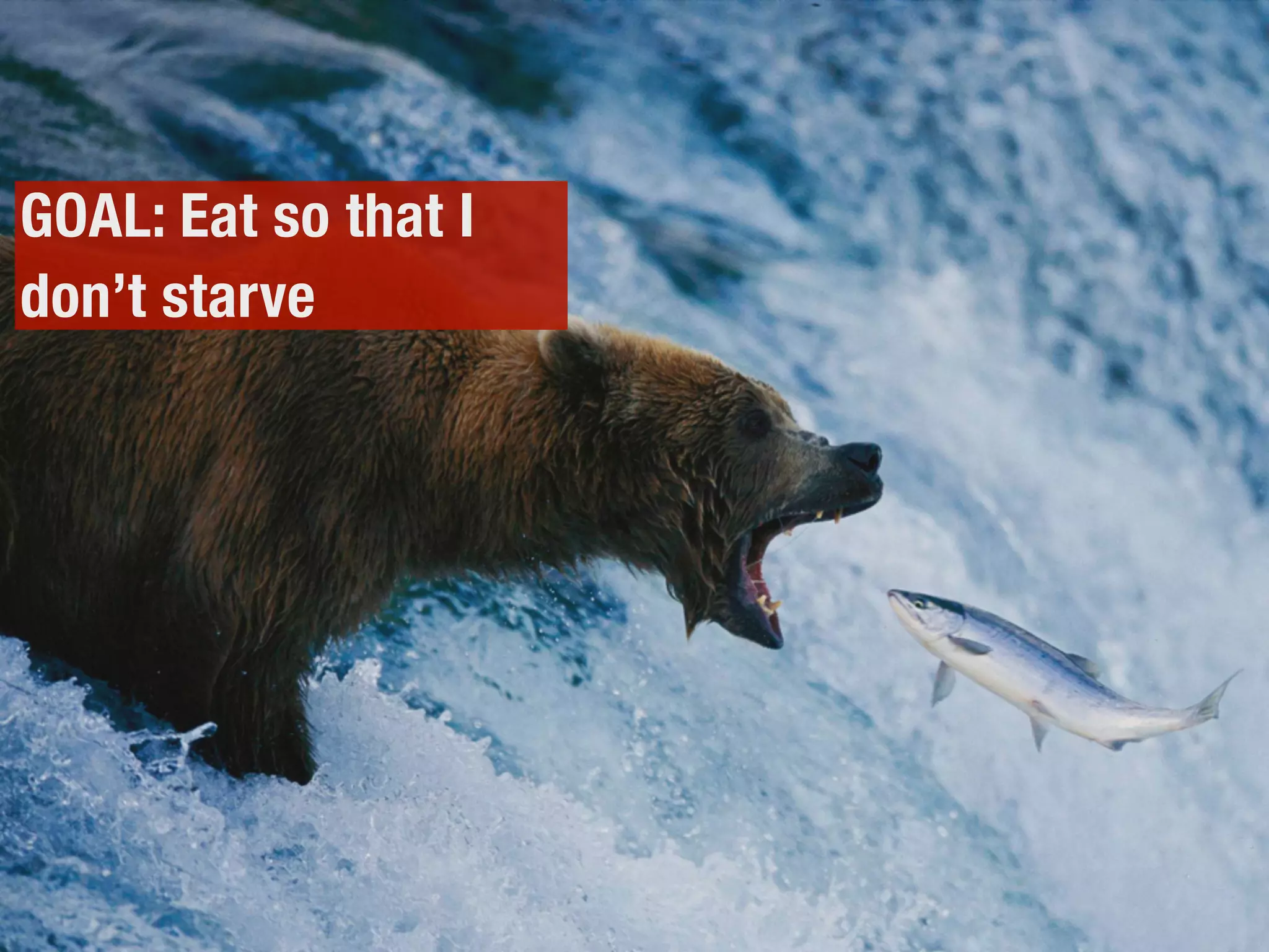 GOAL: Eat so that I
don’t starve
 