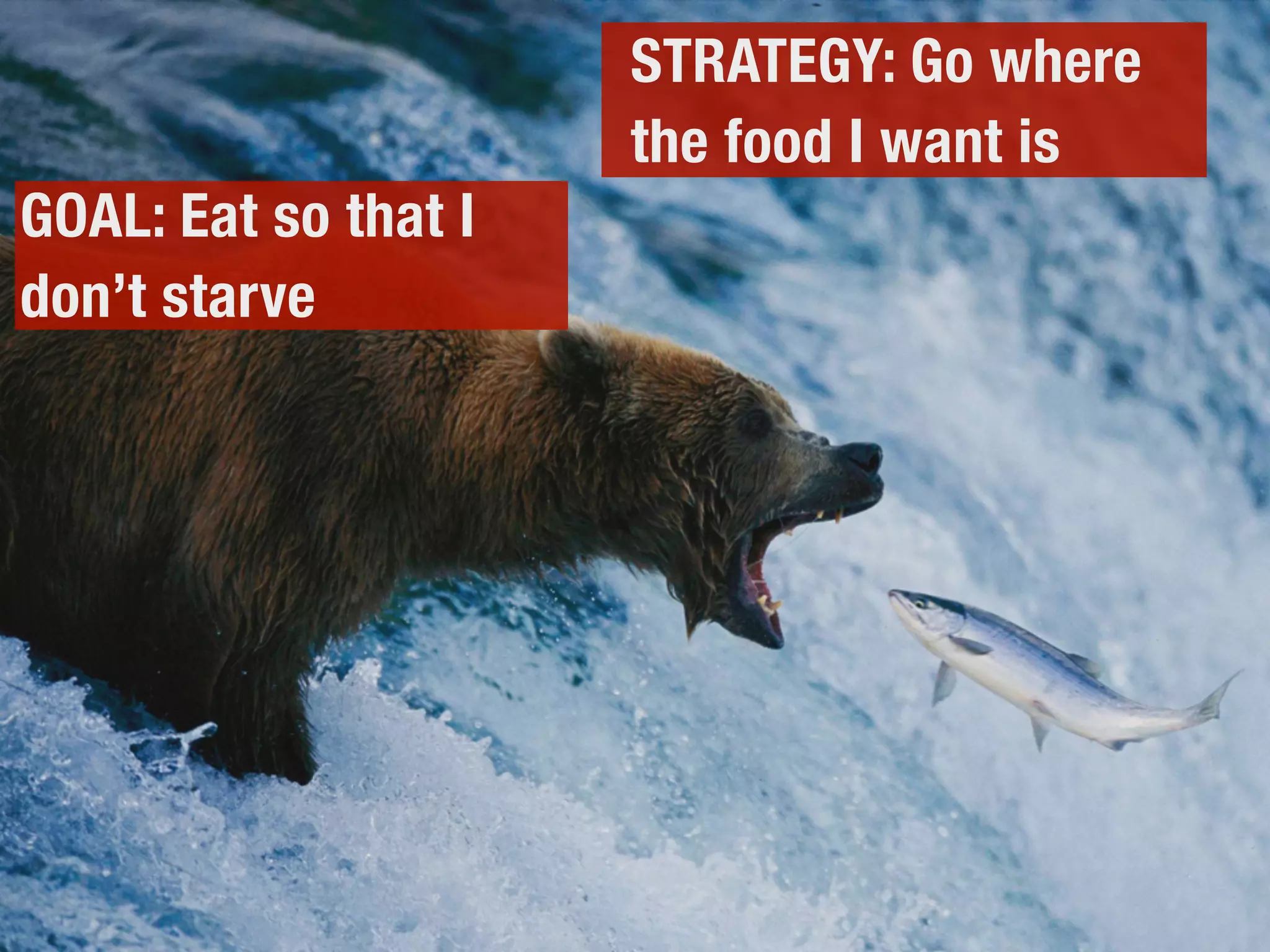 GOAL: Eat so that I
don’t starve
STRATEGY: Go where
the food I want is
 