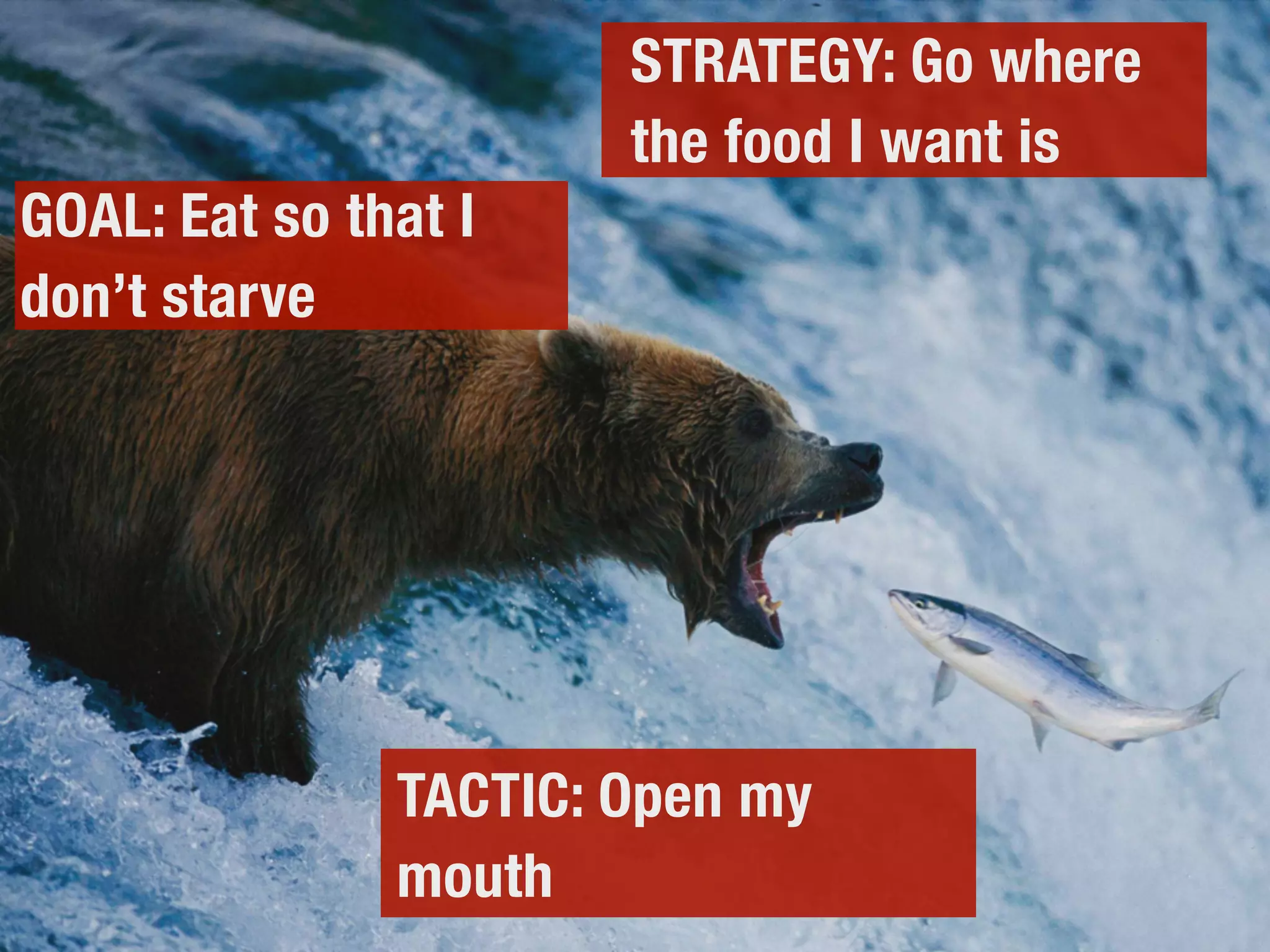 GOAL: Eat so that I
don’t starve
TACTIC: Open my
mouth
STRATEGY: Go where
the food I want is
 