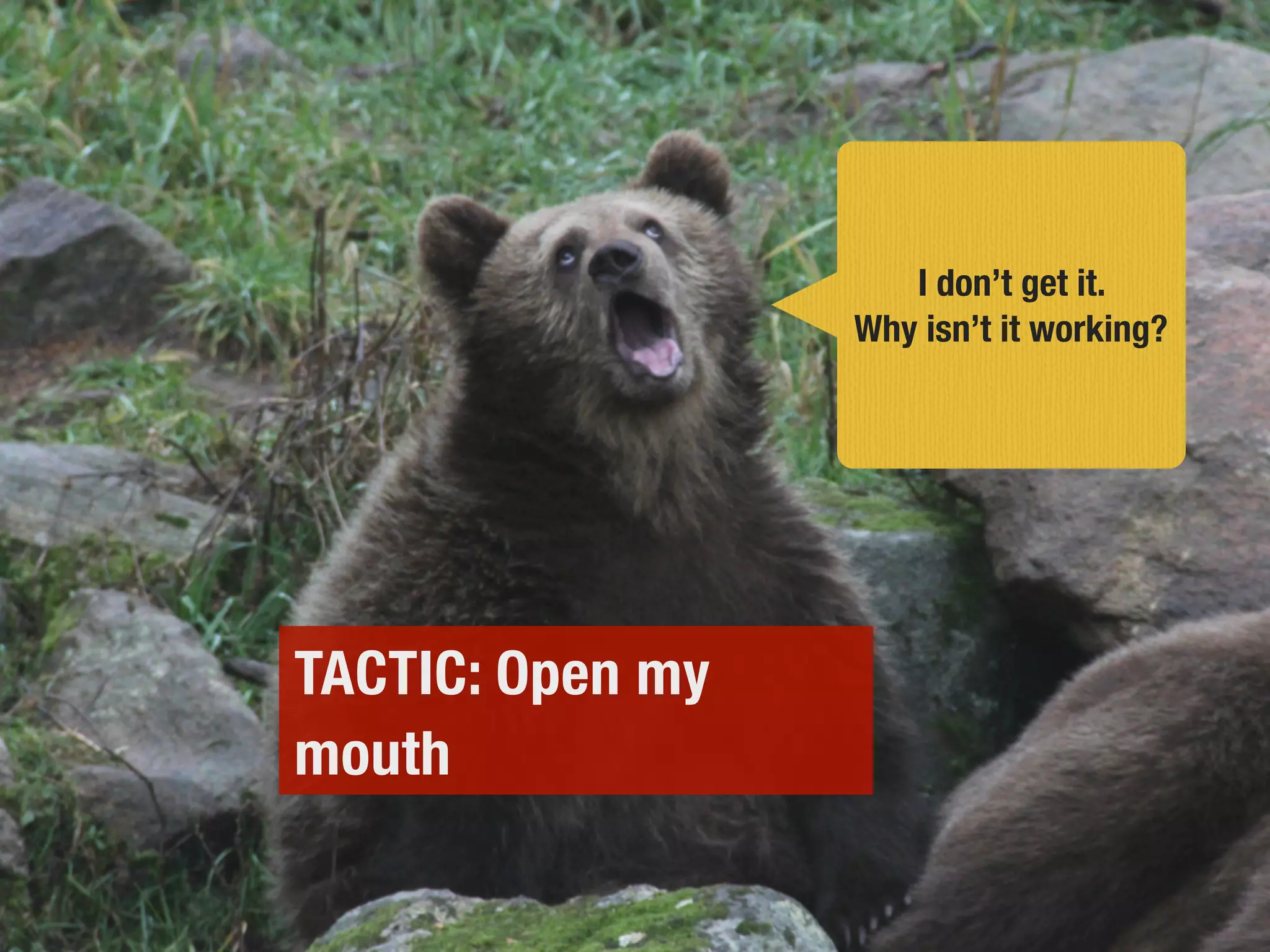 I don’t get it.
Why isn’t it working?
TACTIC: Open my
mouth
 