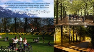 Dort, wo einst die Stadtmauern waren, zieht sich jetzt ein Grüngürtel um die Altstadt.
Die Promenade mit ihrer doppelreihigen Lindenallee ist autofrei und eine wichtige
Verkehrsachse für alle, die zu Fuß, mit dem Rad oder auf Inline-Skates unterwegs
sind.
Vom Schlossplatz in Richtung Aasee findet hier fünfmal im Jahr der große Flohmarkt
statt. Er zieht zwischen Mai und September Kauf- und Schaulustige von nah und fern
an, bis weit über das Münsterland hinaus.
 