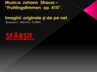 Realizator : NECHITA FLORIN.

SFÂRŞIT.

 