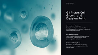 G1 Phase: Cell
Growth and
Decision Point
Sample Footer Text
Cell Growth and Metabolism
During G1, the cell grows, produces RNA,
synthesizes proteins, and replicates organelles like
mitochondria and ribosomes.
G1 Checkpoint Function
The G1 checkpoint evaluates cell size, nutrients,
growth signals, and DNA integrity before
proceeding to DNA replication.
Decision and Resting Phase
If conditions are unfavorable, the cell delays
division or enters a resting phase called G0 to
maintain health.
 