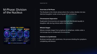 M-Phase: Division
of the Nucleus
Sample Footer Text
Overview of M-Phase
The M-phase is the mitotic phase where the nucleus divides into two
identical daughter nuclei, ensuring genetic consistency.
Chromosome Separation
Duplicated chromosomes are separated and distributed equally to
daughter cells during mitosis within the M-phase.
Mitosis Stages
Mitosis includes stages from prophase to telophase, visible under a
microscope due to condensed chromosomes.
Relation to Cytokinesis
M-phase overlaps with cytokinesis, the process dividing the cytoplasm,
completing cell division.
 