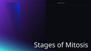 Stages of Mitosis
Sample Footer Text
 
