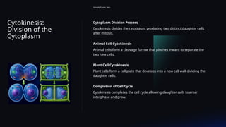 Cytokinesis:
Division of the
Cytoplasm
Sample Footer Text
Cytoplasm Division Process
Cytokinesis divides the cytoplasm, producing two distinct daughter cells
after mitosis.
Animal Cell Cytokinesis
Animal cells form a cleavage furrow that pinches inward to separate the
two new cells.
Plant Cell Cytokinesis
Plant cells form a cell plate that develops into a new cell wall dividing the
daughter cells.
Completion of Cell Cycle
Cytokinesis completes the cell cycle allowing daughter cells to enter
interphase and grow.
 