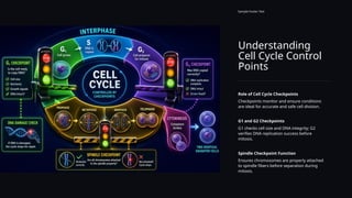 Understanding
Cell Cycle Control
Points
Sample Footer Text
Role of Cell Cycle Checkpoints
Checkpoints monitor and ensure conditions
are ideal for accurate and safe cell division.
G1 and G2 Checkpoints
G1 checks cell size and DNA integrity; G2
verifies DNA replication success before
mitosis.
Spindle Checkpoint Function
Ensures chromosomes are properly attached
to spindle fibers before separation during
mitosis.
 
