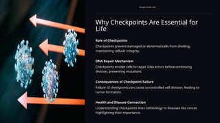 Why Checkpoints Are Essential for
Life
Sample Footer Text
Role of Checkpoints
Checkpoints prevent damaged or abnormal cells from dividing,
maintaining cellular integrity.
DNA Repair Mechanism
Checkpoints enable cells to repair DNA errors before continuing
division, preventing mutations.
Consequences of Checkpoint Failure
Failure of checkpoints can cause uncontrolled cell division, leading to
tumor formation.
Health and Disease Connection
Understanding checkpoints links cell biology to diseases like cancer,
highlighting their importance.
 