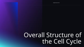 Overall Structure of
the Cell Cycle
Sample Footer Text
 