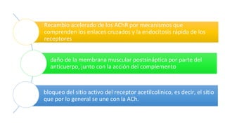 Recambio acelerado de los AChR por mecanismos que
comprenden los enlaces cruzados y la endocitosis rápida de los
receptores
daño de la membrana muscular postsináptica por parte del
anticuerpo, junto con la acción del complemento
bloqueo del sitio activo del receptor acetilcolínico, es decir, el sitio
que por lo general se une con la ACh.
 