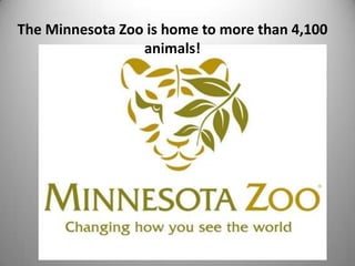 The Minnesota Zoo is home to more than 4,100
animals!

 