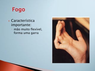    Característica
    importante:
    ◦ mão muito flexível,
      forma uma garra
 