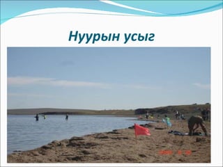 Нуурын усыг 