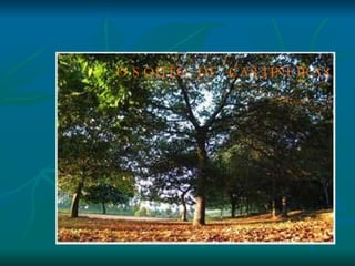 O SOUTO DE CASTIÑEIRAS