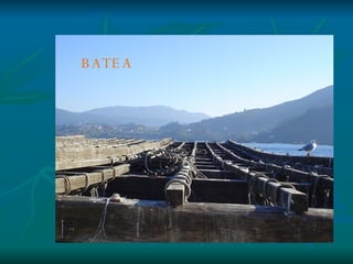 BATEA