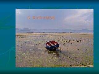 A BAIXAMAR